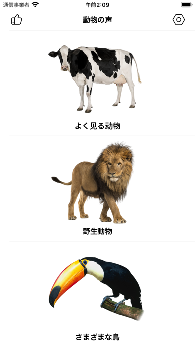 動物冒険記のユニークなキャラクターたち