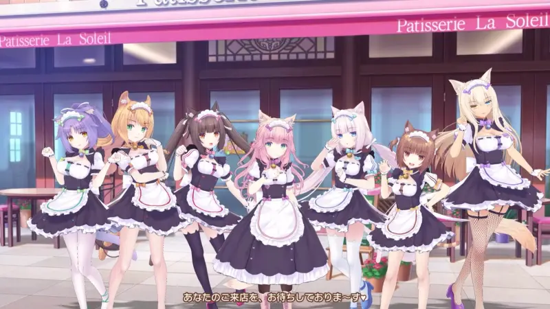 ネココネのムービー