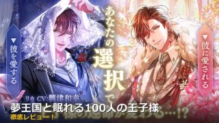 夢王国と眠れる100人の王子様 アイキャッチ