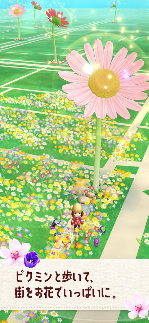 歩いた道に花が咲き、大きな花が育つこともあります